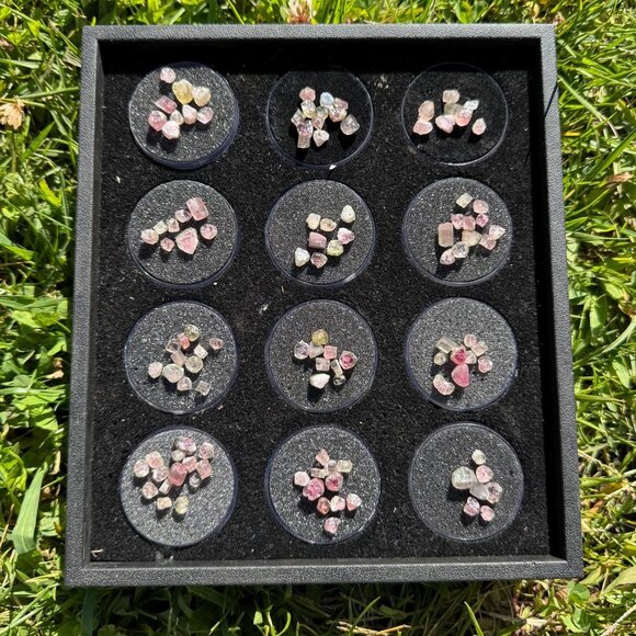 Watermelon Tourmaline Crystals in Gem Jar Case - 27.2g / 136 carats - Picture 1 of 13